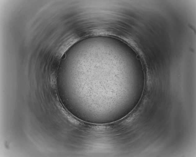 X0000101980897200807251231