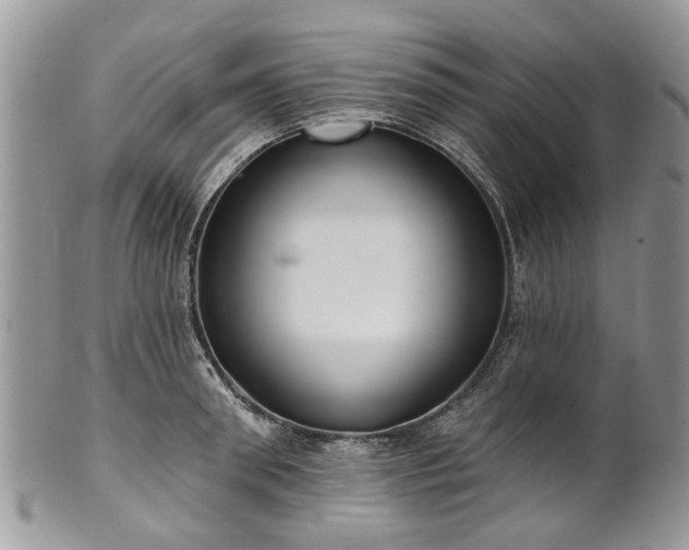 X0000101980898200807251231