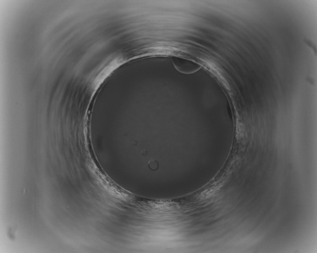 X0000101980899200807251231