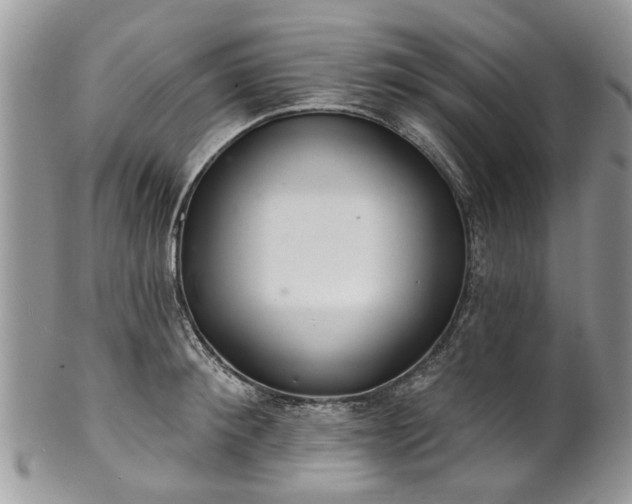 X0000101980900200807251231