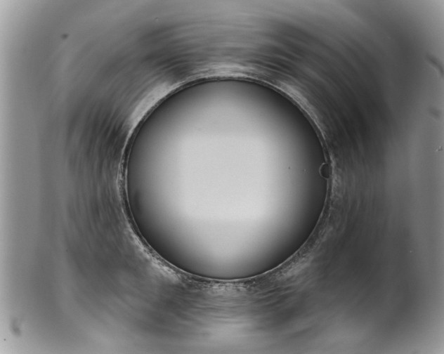 X0000101980901200807251231