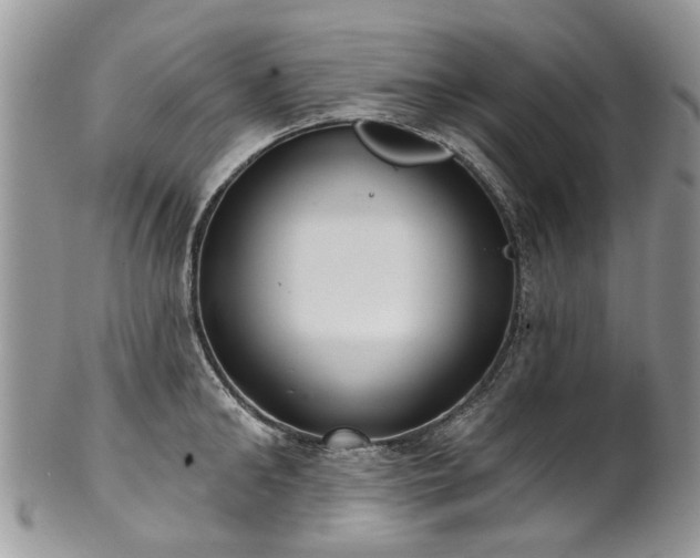 X0000101980902200807251231