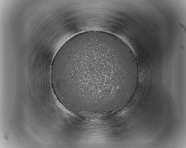 X0000101980903200807251231