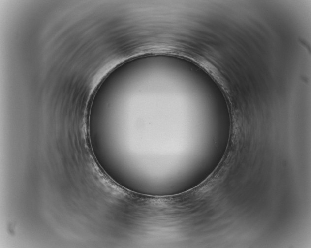 X0000101980904200807251231