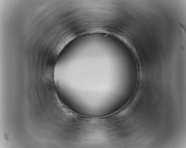 X0000101980905200807251231