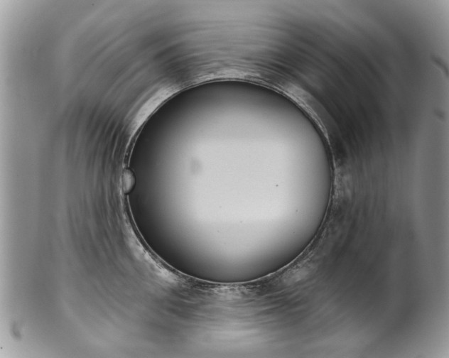 X0000101980906200807251231