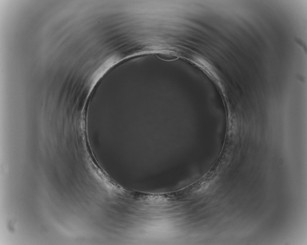 X0000101980907200807251231