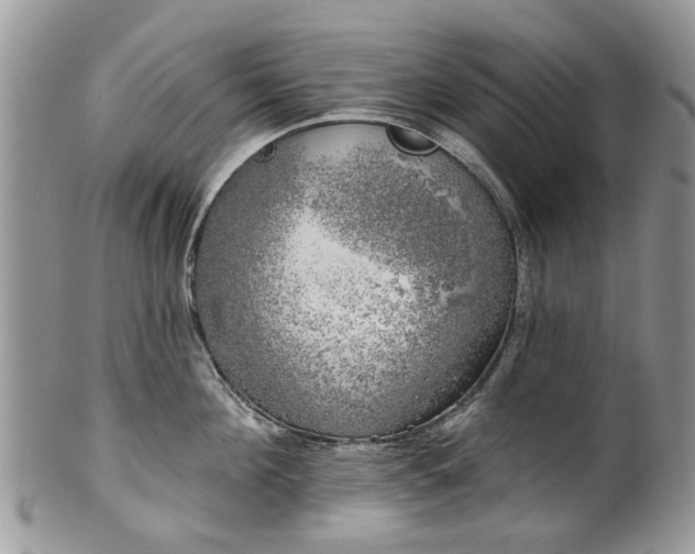 X0000101980908200807251231