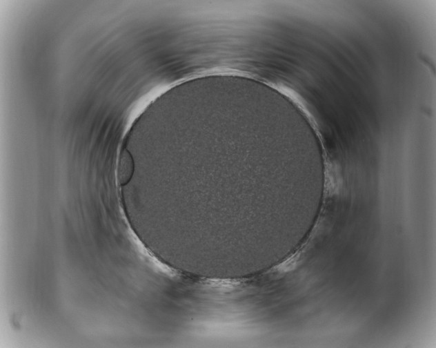 X0000101980910200807251230