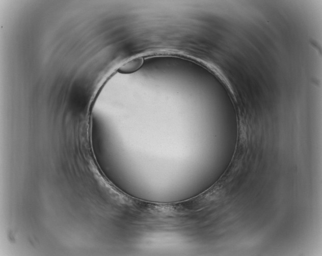 X0000101980911200807251230