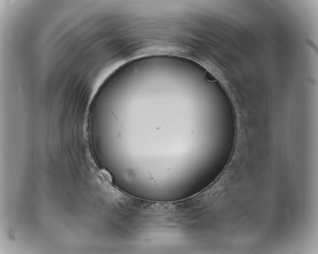 X0000101980912200807251230