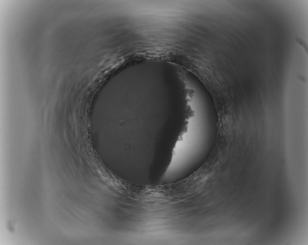 X0000101980913200807251230