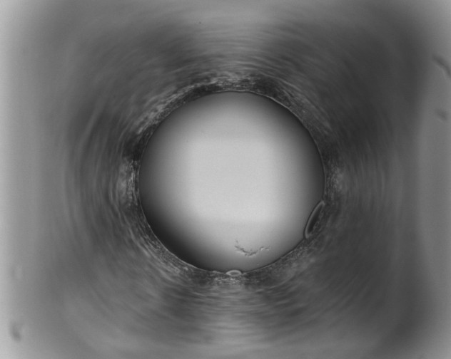 X0000101980914200807251230