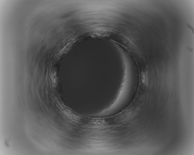 X0000101980915200807251230