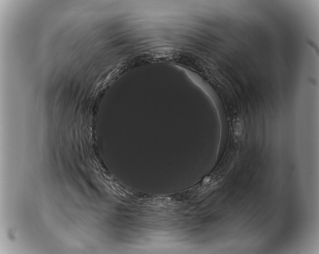 X0000101980916200807251230