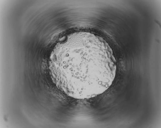 X0000101980918200807251230