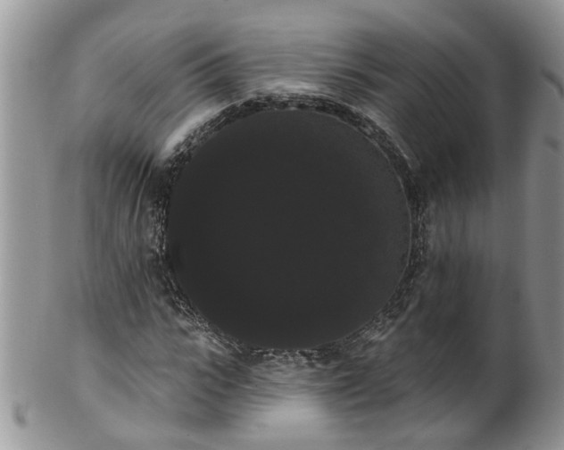 X0000101980919200807251230