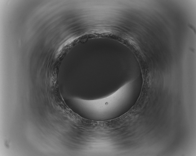 X0000101980920200807251230