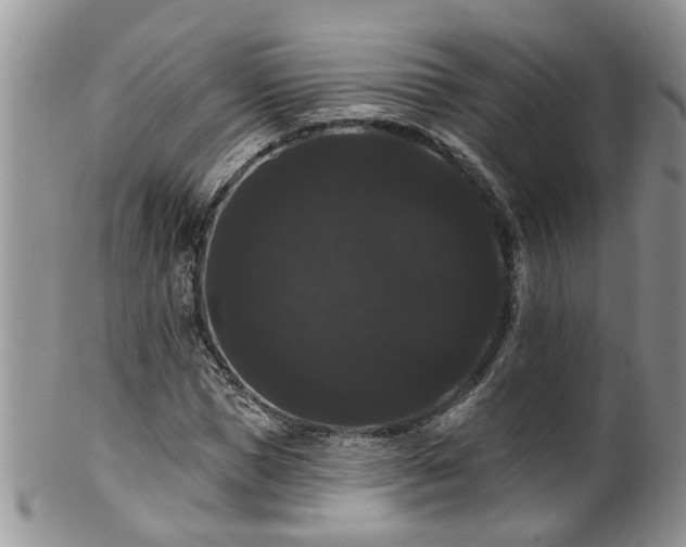 X0000101980921200807251230