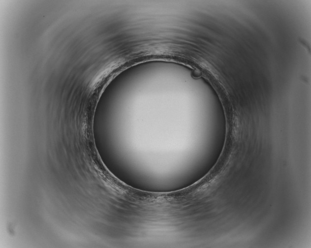 X0000101980922200807251230