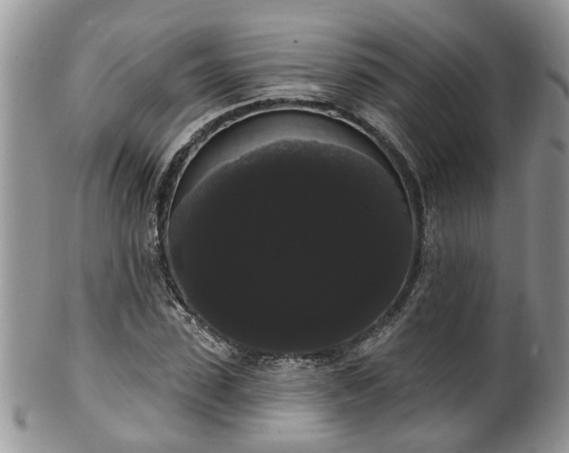 X0000101980923200807251230