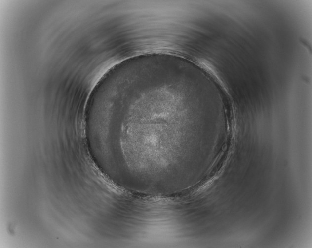 X0000101980924200807251230