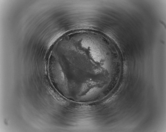 X0000101980925200807251230