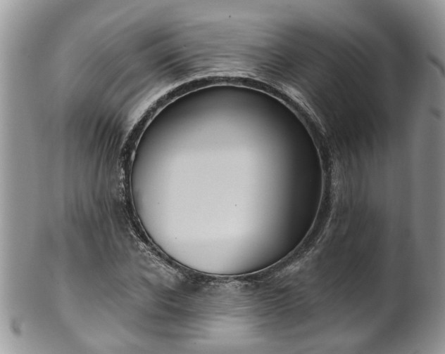 X0000101980926200807251230