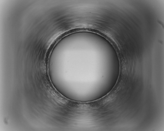 X0000101980927200807251230