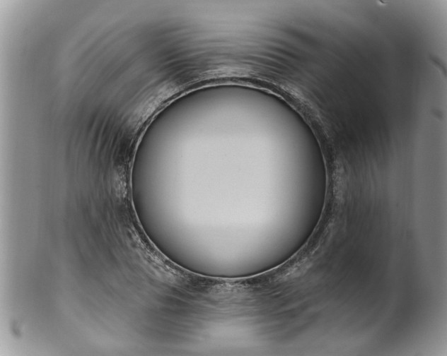 X0000101980929200807251230