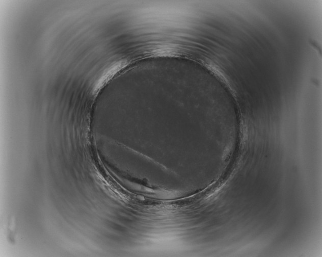 X0000101980930200807251230