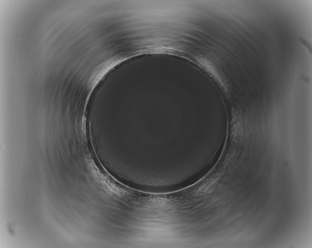 X0000101980932200807251230