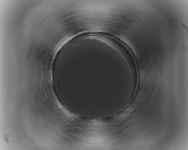 X0000101980935200807251230