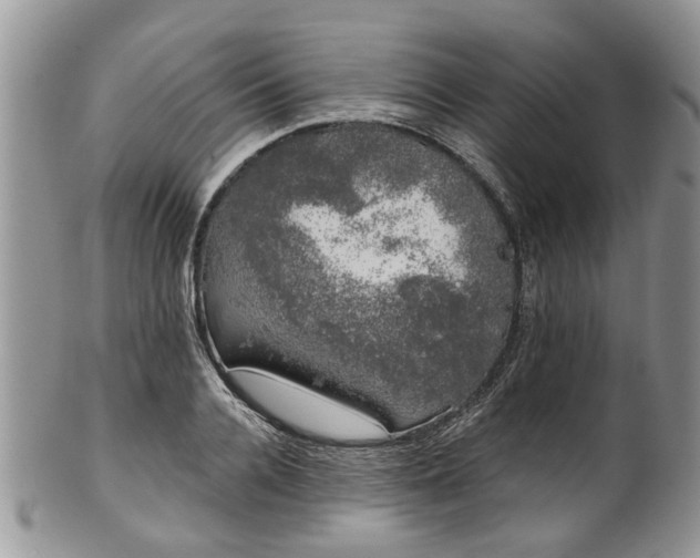 X0000101980936200807251230