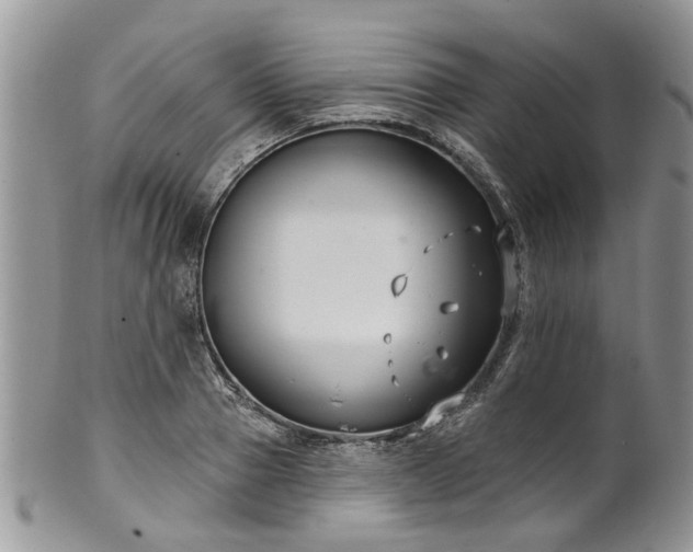 X0000101980937200807251230