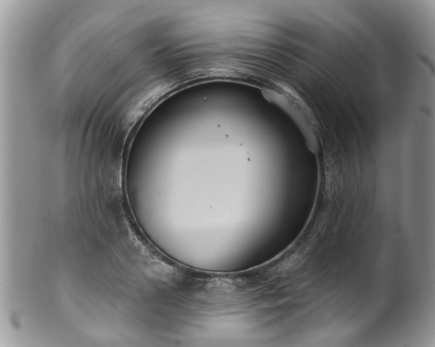 X0000101980938200807251230