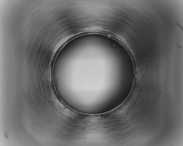 X0000101980939200807251230