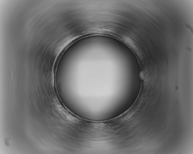 X0000101980940200807251230