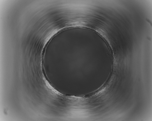 X0000101980941200807251230