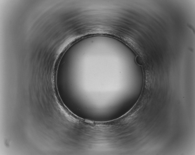 X0000101980942200807251230