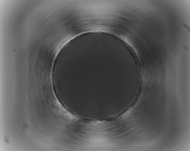 X0000101980943200807251230