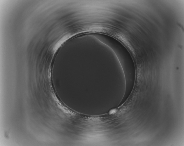 X0000101980944200807251230