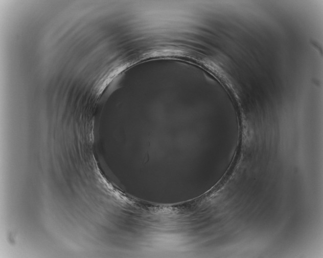 X0000101980945200807251230