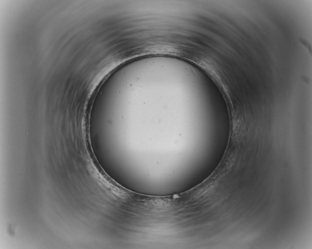 X0000101980947200807251230