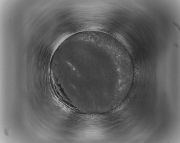 X0000101980948200807251230