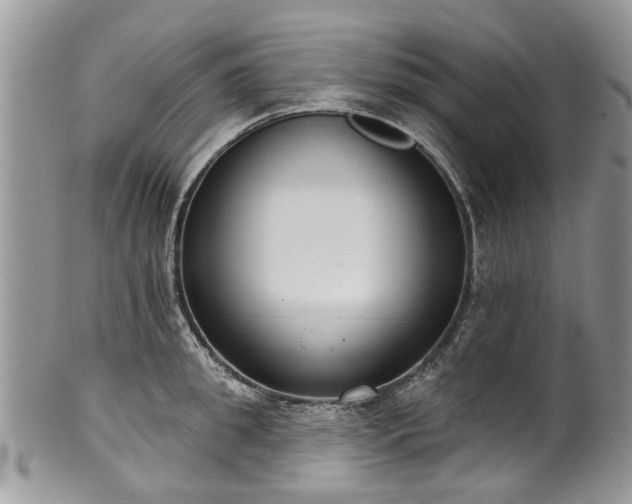 X0000101980949200807251230