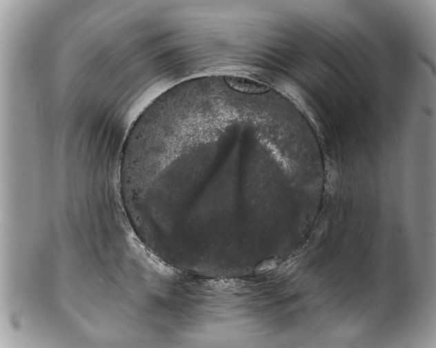 X0000101980952200807251230