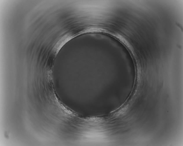 X0000101980953200807251230