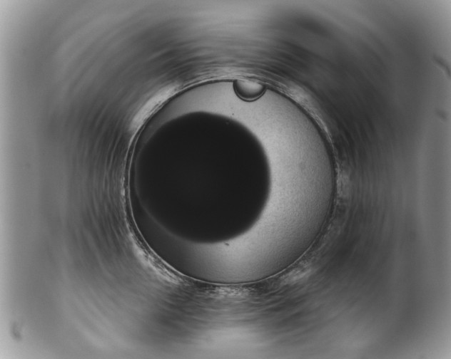 X0000101980954200807251230