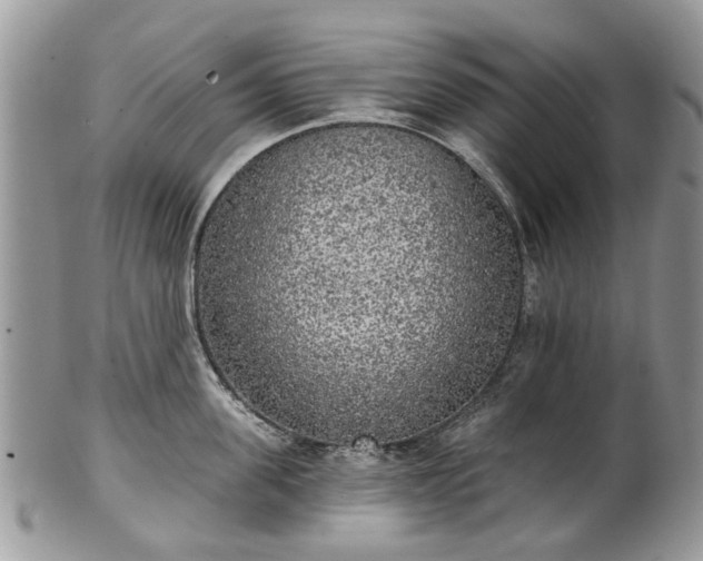 X0000101980955200807251230